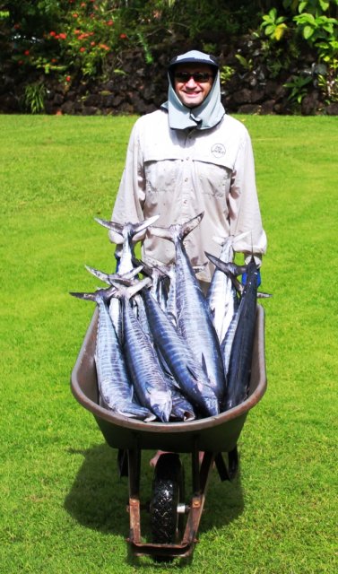 A wheelbarrow full of wahoo